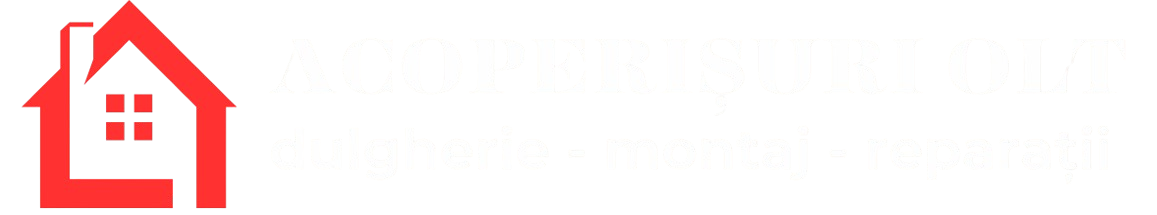 Acoperișuri OLT